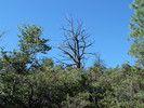 photo thumbnail #13