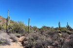 photo thumbnail #13
