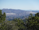 photo thumbnail #10