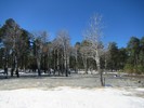 photo thumbnail #8