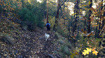 photo thumbnail #10