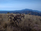 photo thumbnail #5