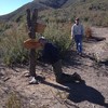 photo thumbnail #5