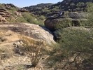 photo thumbnail #7