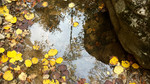 photo thumbnail #15
