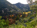 photo thumbnail #12