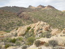 photo thumbnail #12