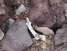 photo thumbnail #7