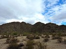photo thumbnail #7