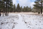 photo thumbnail #4
