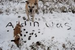 photo thumbnail #13