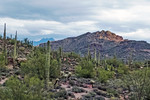 photo thumbnail #1