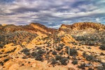 photo thumbnail #11