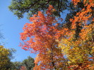 photo thumbnail #9
