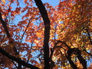 photo thumbnail #12
