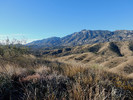 photo thumbnail #4