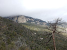 photo thumbnail #12