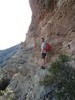 photo thumbnail #15