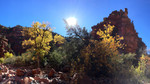 photo thumbnail #14