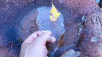 photo thumbnail #15