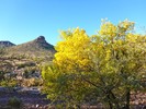 photo thumbnail #3