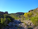 photo thumbnail #7