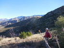photo thumbnail #4