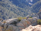 photo thumbnail #10