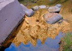 photo thumbnail #12