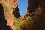 photo thumbnail #15