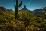 photo thumbnail #7