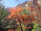 photo thumbnail #2