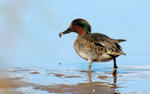 photo thumbnail #9