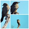 photo thumbnail #8