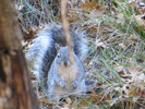 photo thumbnail #11