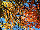 photo thumbnail #11