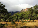 photo thumbnail #14