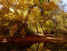 photo thumbnail #10
