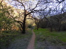 photo thumbnail #11