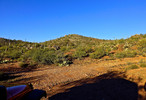 photo thumbnail #1