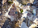 photo thumbnail #13