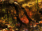 photo thumbnail #11
