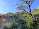photo thumbnail #8