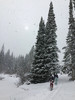 photo thumbnail #6