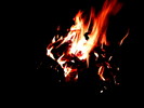photo thumbnail #15
