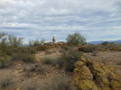 photo thumbnail #10