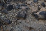 photo thumbnail #7