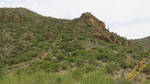 photo thumbnail #15