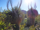 photo thumbnail #2