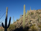 photo thumbnail #4